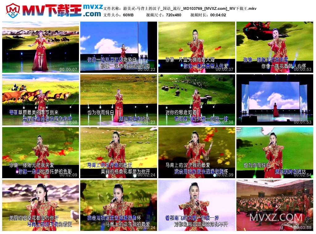 游美灵-马背上的汉子_国语_流行_MD103769